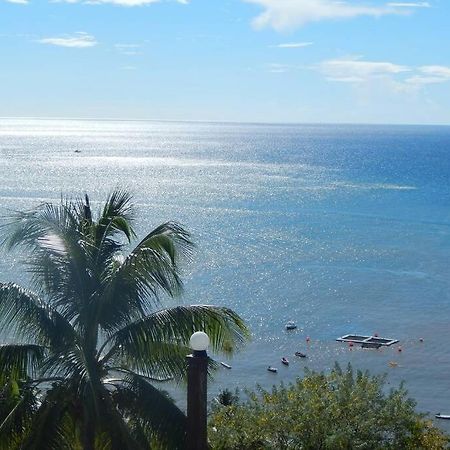 ル・カルベ Le Morne Charlotteヴィラ エクステリア 写真