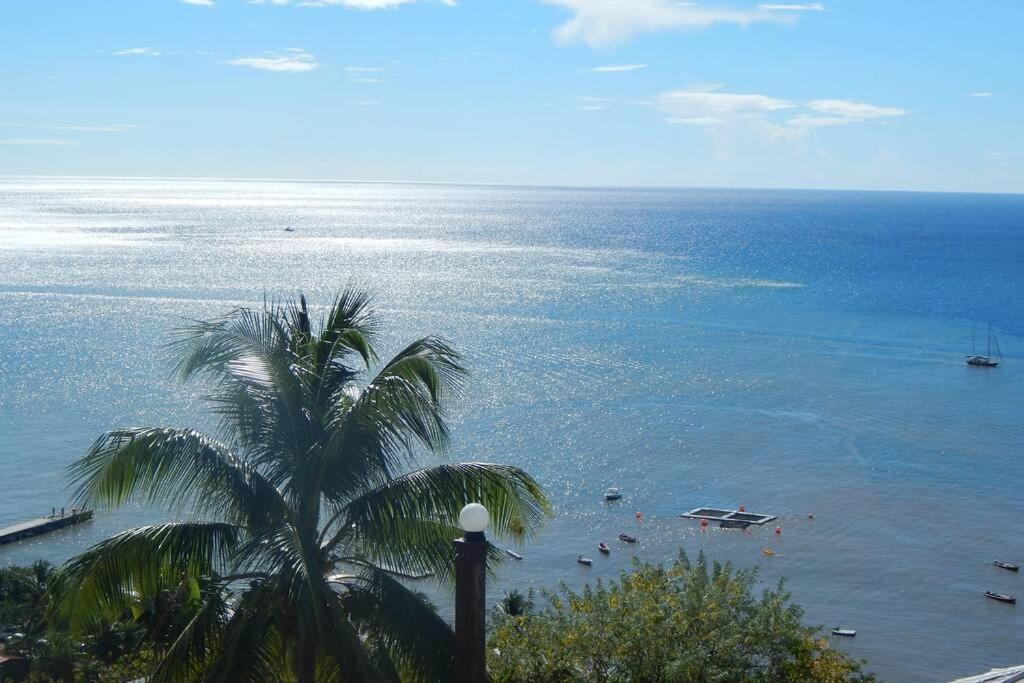 ル・カルベ Le Morne Charlotteヴィラ エクステリア 写真