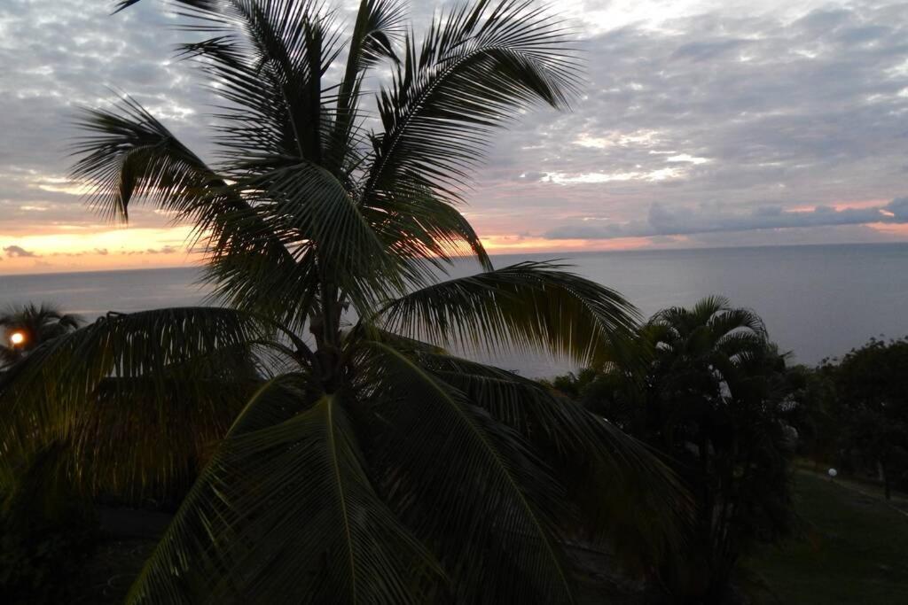 ル・カルベ Le Morne Charlotteヴィラ エクステリア 写真